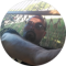 joshua kulp Avatar