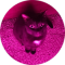 Chloe Rose Avatar