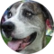 Marcey Arter Avatar