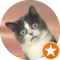 Steven Ferguson Avatar