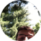 James Waltermyer Avatar