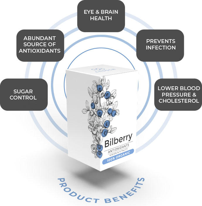 Endoca Organic Bilberry Capsules - Image 5