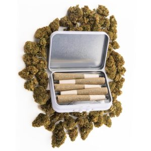 Dogwalker 0.5g THC Pre-rolls