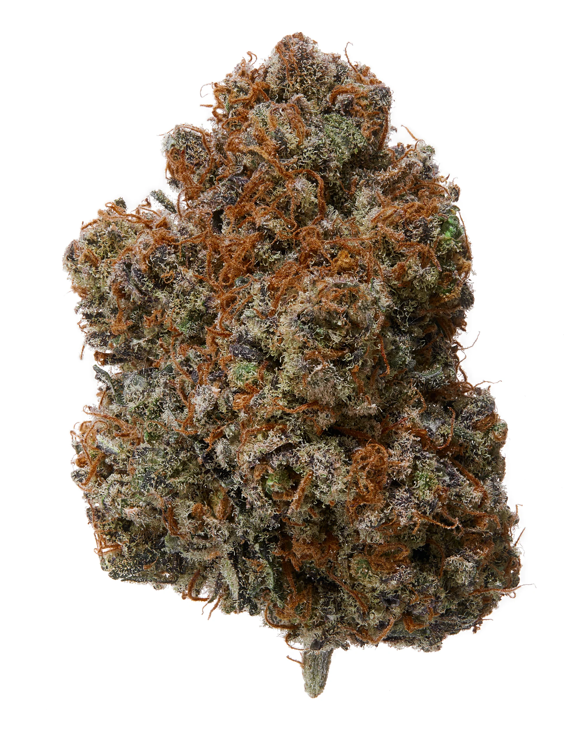 Bronze/Silver Tier THCa Flower