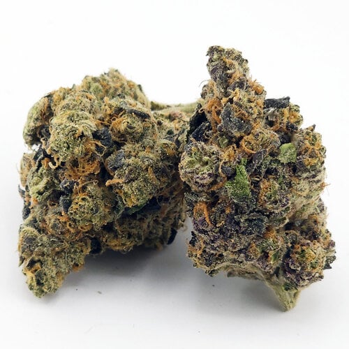 Gold Tier THCa Flower