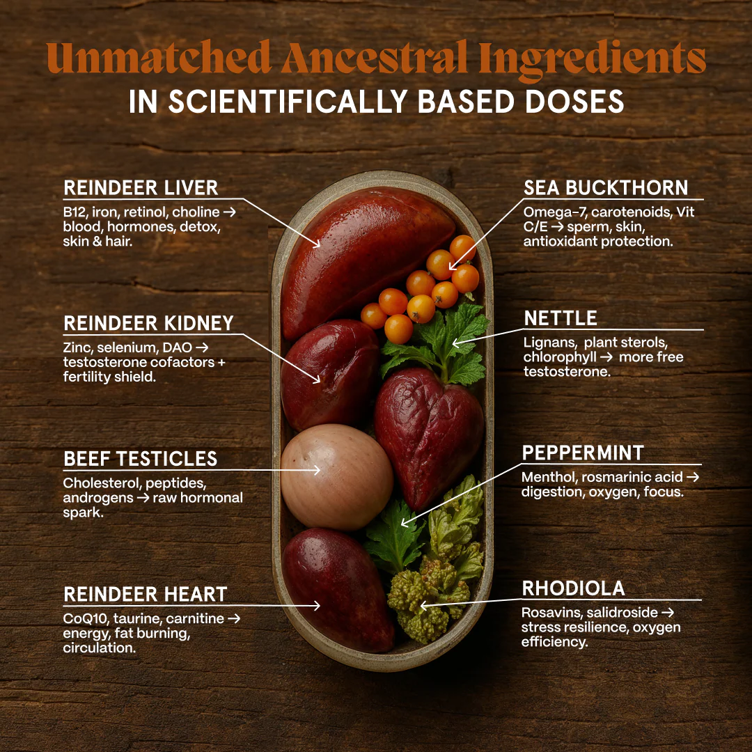 Primal Viking Natural Testosterone Booster - Image 4