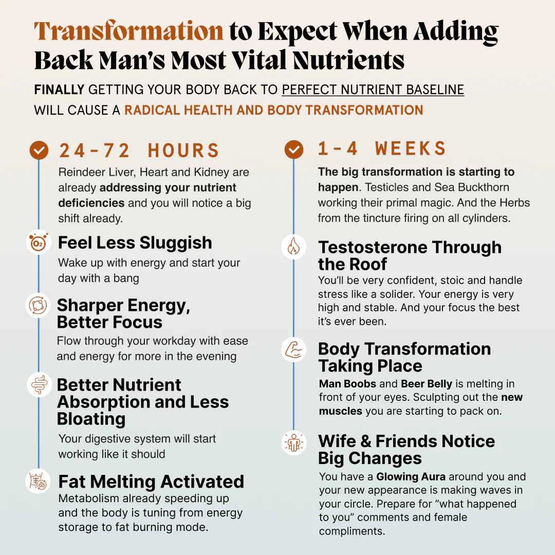 Primal Viking Natural Testosterone Booster - Image 8