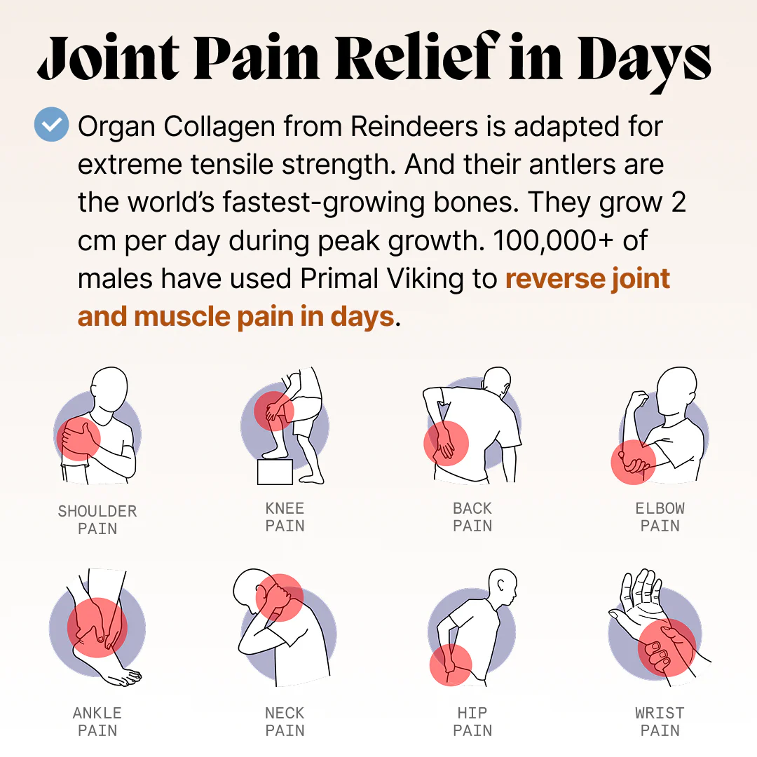 Primal Viking Natural Testosterone Booster - Image 7