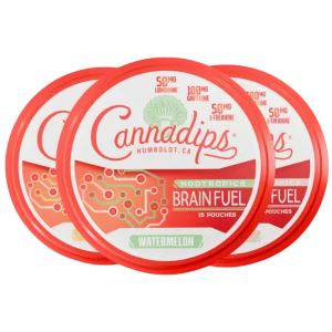 Cannadips Nootropics Brain Fuel Pouches