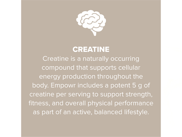 PlusHLTH Empowr Protein Powder - Image 5