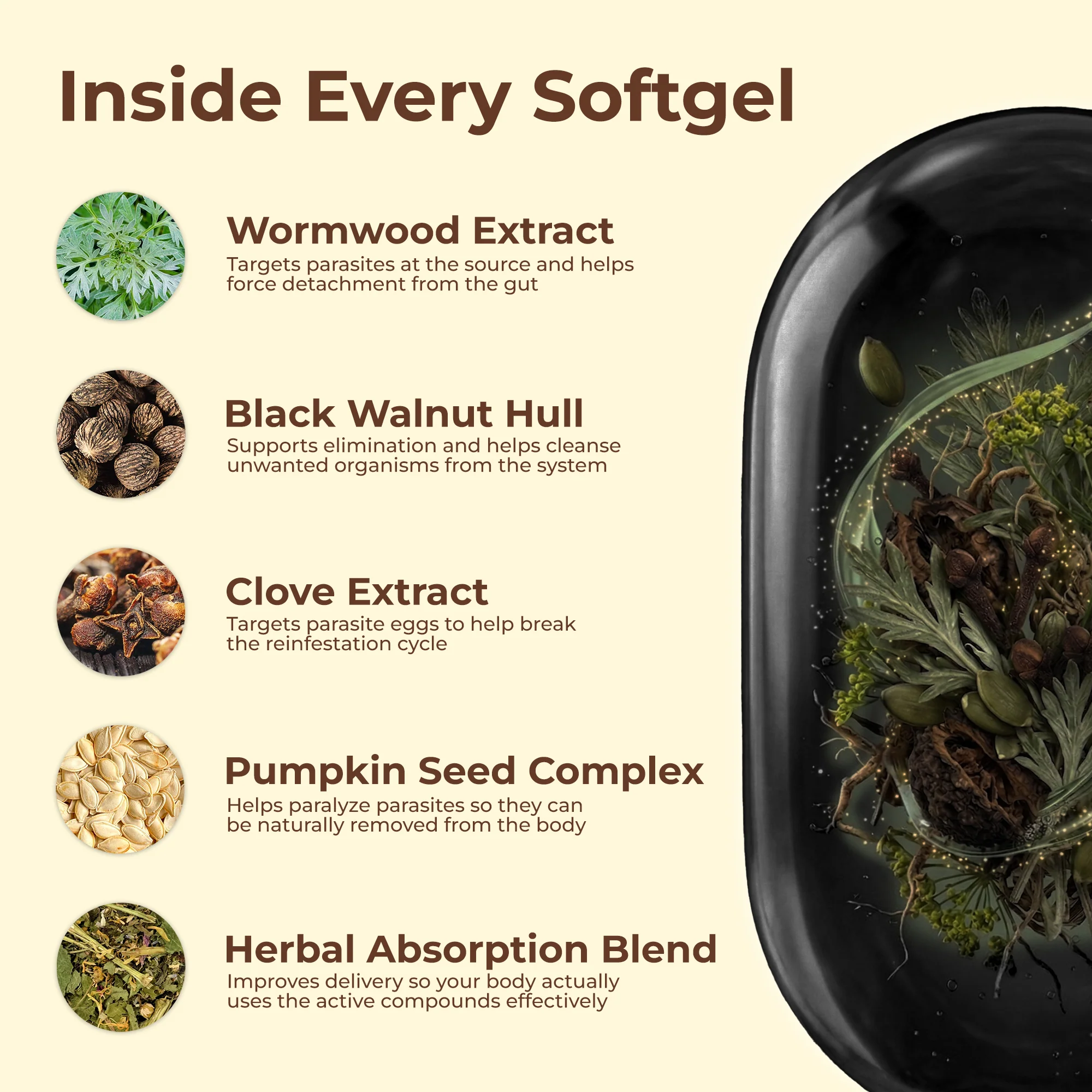 Holior Wormwood Black Walnut Cloves Capsules - Image 2