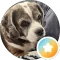 Mary Macarus Avatar